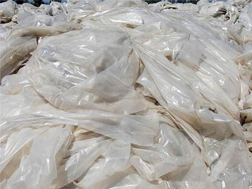 �Ϻ��Ͼ����ϱ�Ĥ���ա�