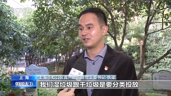 �Ϻ��������������ࡱʩ��4������ Ч��Զ��Ԥ�ڡ�